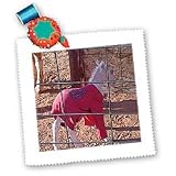 Jos Fauxtographee Realistic - Newborn Miniature Shetland Pony Baby In Red Sweatshirt to Keep Warm in Ivins, Utah - Quilt Squares