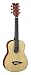 Dean Playmate 1/2 Size Mini Acoustic