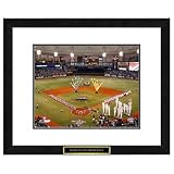 Tampa Bay Rays MLB Framed Double Matted Stadium Print