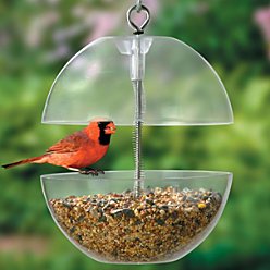 Squirrel-Free Bird Feeder - Improvements