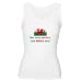 Perfect Welsh Women's Tank Top