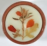 Auroshikha Flower Candles - Citronella - Medium Terra Cotta (2-1/2 In x 1 In) Round