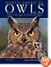 North American Owls: Journey Through a Shadowed World