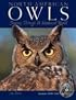 North American Owls: Journey Through a Shadowed World
