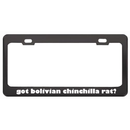 Bolivian Chinchilla Rat