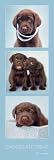 Rachael Hale (Chocolate Treat) Art Poster Print - 12 X 36