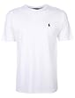 ralph lauren t shirt