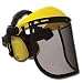 Mesh Face Shield and Hearing Protector