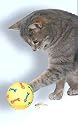 Snacky Food Ball Toy For Cats, Cat