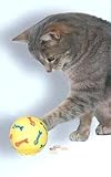 Eigenschaften Rosenau24  / SNACKY SPIELZEUG F KATZEN 7,5CM 4137