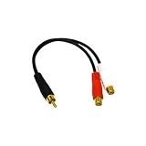6" M RCA to 2 RCA F Y Cable