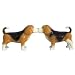 Beagles Dog Pup S/P Salt & Pepper Shakers