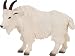 Wild Safari Mountain Goat