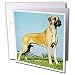 Great Dane Greeting Card is measuring 5.5w x 5.5h. Greeting Cards are sold in sets of 6 or 12. Give these fun cards to your frieds and family as gift cards, thank you notes, invitations or for any other occasion. Greeting Cards are blank inside and come with white envelopes.