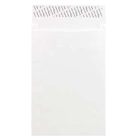 Columbian Envelope - Tyvek Open-End Envelopes, Plain, Exp, 12"x16"x2", White