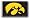 Iowa Hawkeyes Black