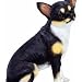 Chihuahua 7" Brown Statue