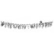 Charismatic Charm Star Belly Chain
