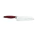 Rachael Ray Cucina Cutlery 2-Piece Japanese Stainless Steel Santoku Knife Set