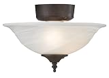 31v6b2 aM3L. SL160  Ceiling Fan Light Kits Reviews