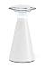 Fulcrum Lanterna 12 LED Lamp, White