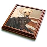 Dogs Labrador Retriever - Labrador Retriever - Trivets