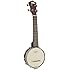 Recording King RK-U25-BR Madison Banjo Ukulele