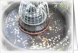 Good Luck New Job-Water/Wishing Fountain Card