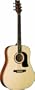 Washburn D10S Dreadnought Acoustic Guitar (Natural)
