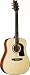 Washburn D10S N Acoustic Guitar - Natural