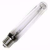 EIKO Lamp 600 watts