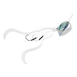 シマノ(SHIMANO) 炎月 嵐月 50g EJ-050K ケイムラカタクチ 35T 751249 嵐