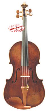 Tertis Model Antique Full Size Viola JS900VA