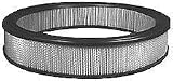 Hastings Filters AF311 Air Filter