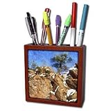 Boehm Digital Paint Mountains - Colorado Mountains Rocky Pine - Tile Pen Holders-5 inch tile pen holder