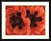 Art Select Oriental Poppies, 1928 by G.OK Framed Art Ea - Model SP2877 Categorization: Office Framed Art & Decor > Flower Shoppe Framed Art