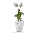 Water Pearls-CLEAR-Centerpiece Wedding Tower Vase Filler-makes 6 gallons (8 oz pack)