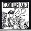 Time Flies & Rats