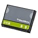 BlackBerry D-X1 Akku LiIon fuer 8900/9500