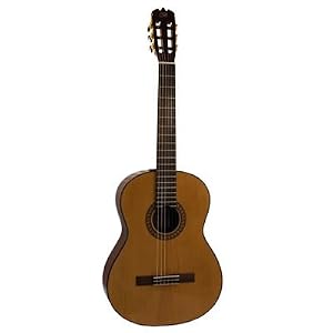 Brunswick Nylon 'Maestro' Classical BC300 Guitar