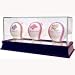 Glass Triple Baseball Case (o)