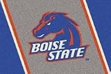Boise State Broncos 3' 10x 5' 4 Team Spirit Area Rug