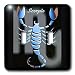 Zodiac Signs Horoscope - Scorpio Zodiac Sign - Light Switch Covers - double toggle switch