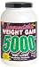 ������Vasilef�����å��ν�����5000, �ե����Х˥�ե졼�С�, 1812g