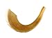 Large Kosher Rams Horn Polished Shofar by Peer Hastam - With Guide & Anti Odor Spray (15