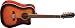 Oscar Schmidt OG312CETS 12 String Dreadnought Acoustic Electric Guitar