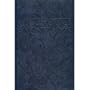 Alcoholics Anonymous Big Book/Large Print