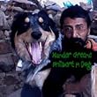 Philbert M Dog
