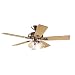 Hunter 20541 Summer Breeze Plus 3-Light 52-Inch 5-Blade Ceiling Fan, Brushed Nickel with Swirled Marble Globes and Cherry/Maple Blades