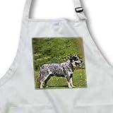 Dogs Australian Cattle - Australian Cattle Dog - Aprons